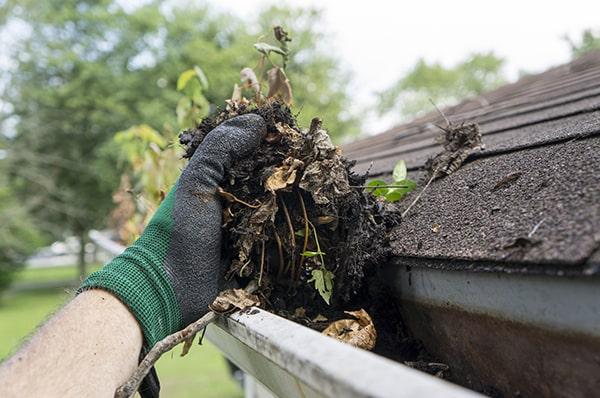 signs that your gutters need cleaning include visible debris, water overflow, and plants growing in the gutters